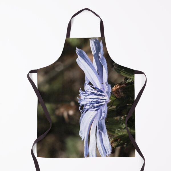 Item preview, Chicory bloom standing in profile designed and sold by Joel Bader.
