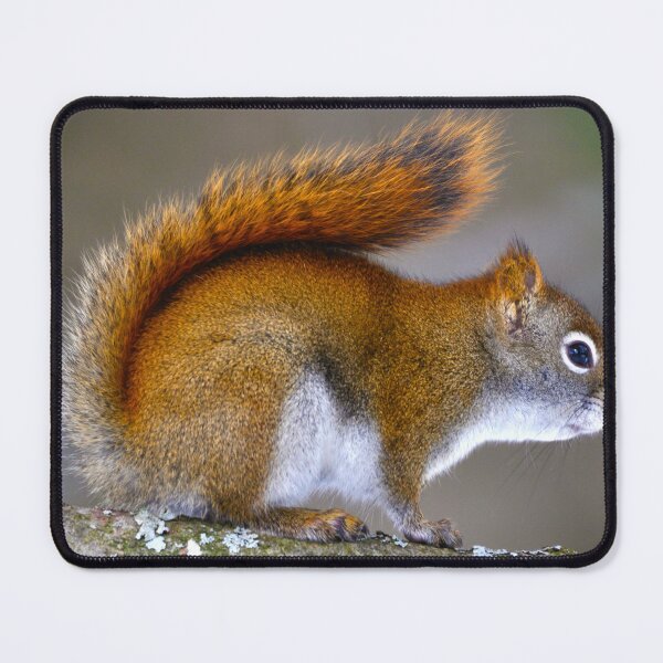 Item preview, Bushy Tail designed and sold by purelightimages.