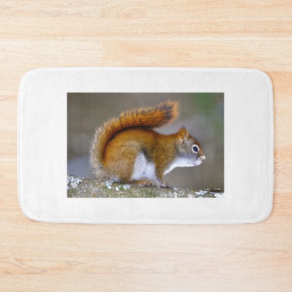 Item preview, Bushy Tail designed and sold by purelightimages.