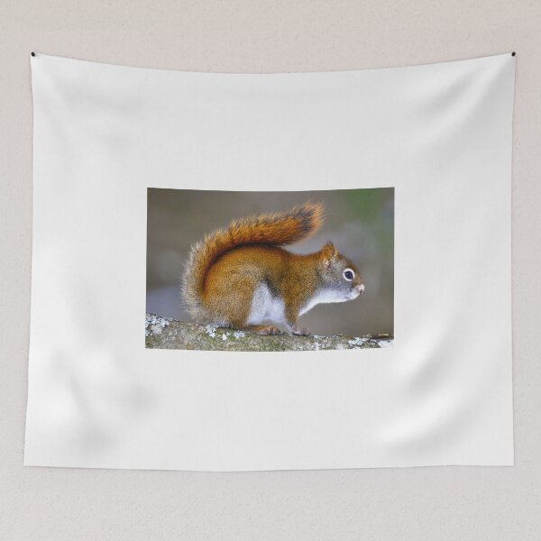 Item preview, Bushy Tail designed and sold by purelightimages.