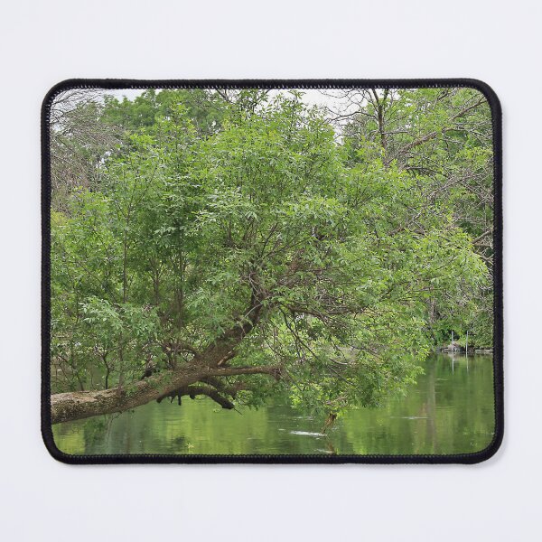 Item preview, Horizontal Tree Growing Over the Yahara River designed and sold by Martha Sherman.