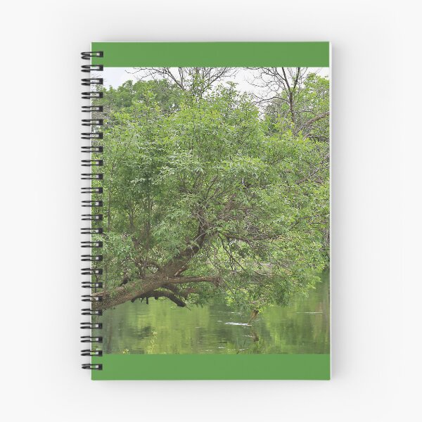 Item preview, Horizontal Tree Growing Over the Yahara River designed and sold by Martha Sherman.