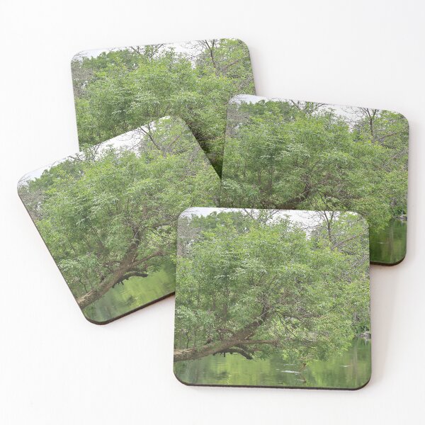 Item preview, Horizontal Tree Growing Over the Yahara River designed and sold by Martha Sherman.