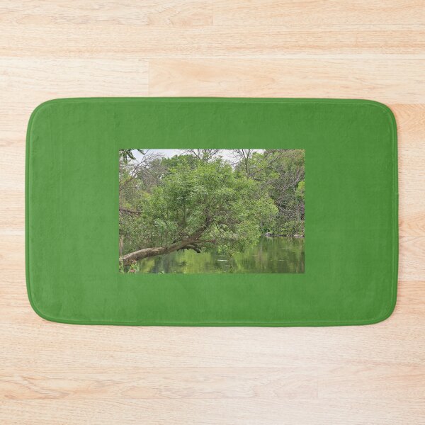 Item preview, Horizontal Tree Growing Over the Yahara River designed and sold by Martha Sherman.
