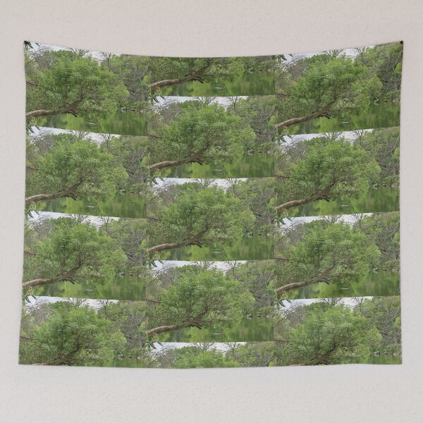 Item preview, Horizontal Tree Growing Over the Yahara River designed and sold by Martha Sherman.