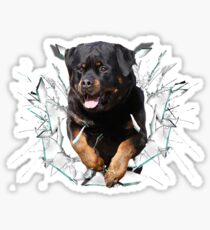 Rottweiler sticker Sticker