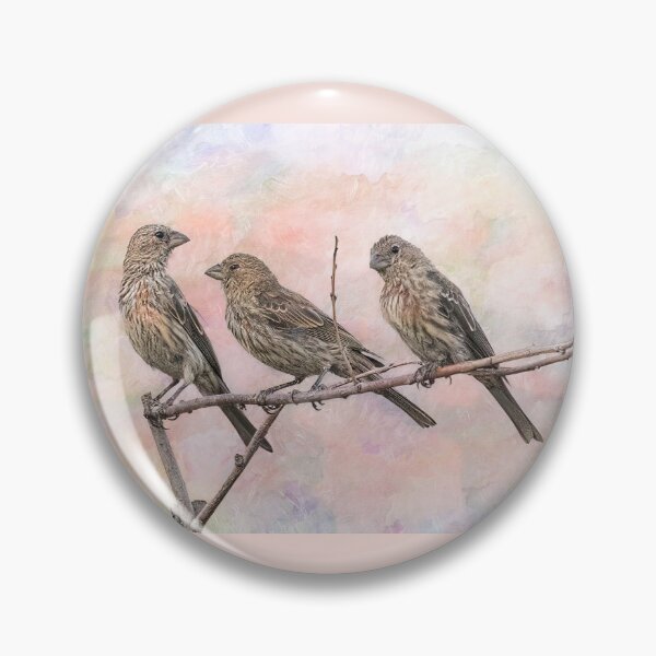 Item preview, Three Finches Share a Twig designed and sold by CarolM.