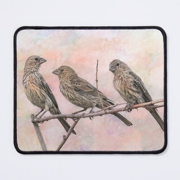 Item preview, Three Finches Share a Twig designed and sold by CarolM.