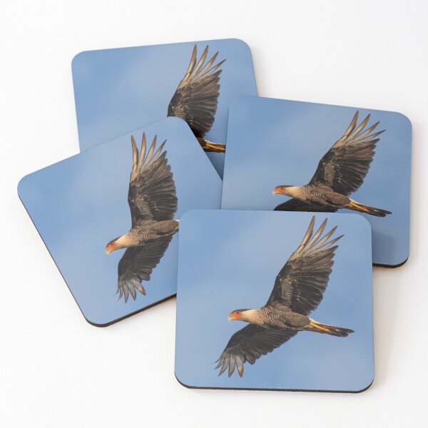 Item preview, Crested Caracara Flying  designed and sold by Shannon Emmel .