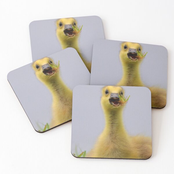 Item preview, Ganso bebé designed and sold by Parks and X.