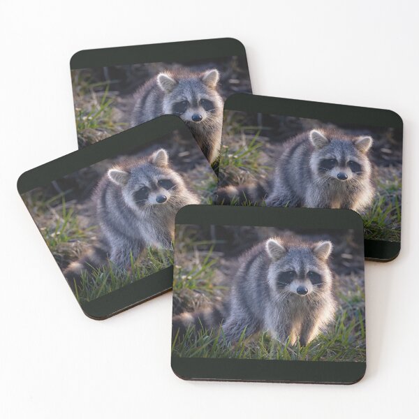 Item preview, Baby Racoon  designed and sold by Shannon Emmel .