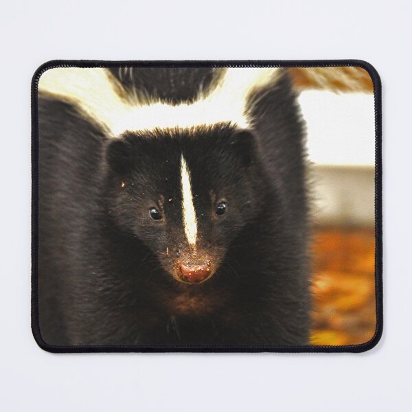 ur,mouse_pad_small_flatlay,