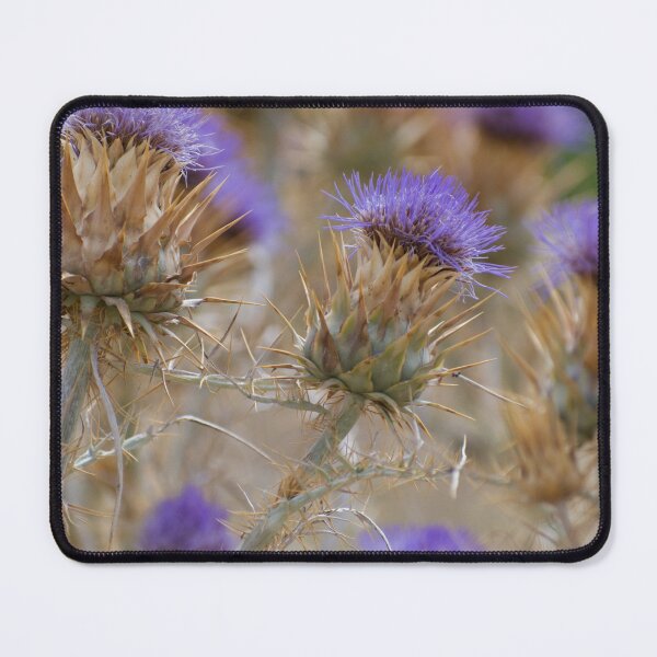 Item preview, Thistles designed and sold by carolmaia.