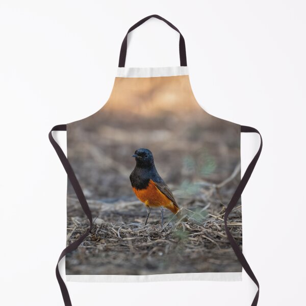 Item preview, Hodgson’s Redstart Bird, Exotic Wildlife and Nature Photography designed and sold by Shaheer-WallArt.
