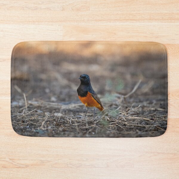 Item preview, Hodgson’s Redstart Bird, Exotic Wildlife and Nature Photography designed and sold by Shaheer-WallArt.