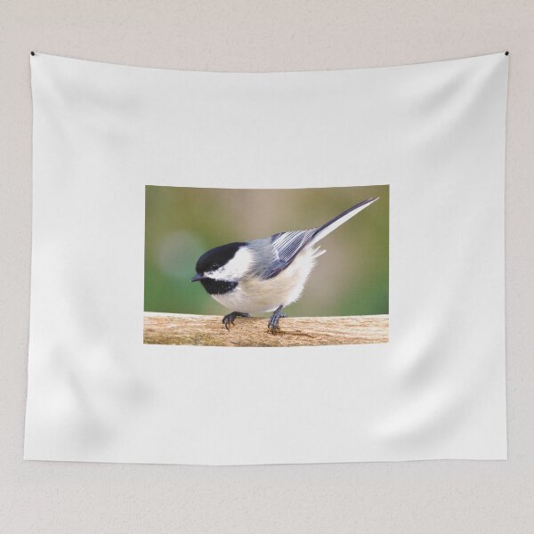 Item preview, Bundle of feathers designed and sold by purelightimages.
