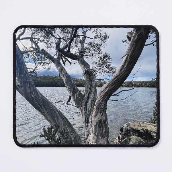 Item preview, Lake Dobson - Mount Field - Photograph designed and sold by Echoes To Earth.