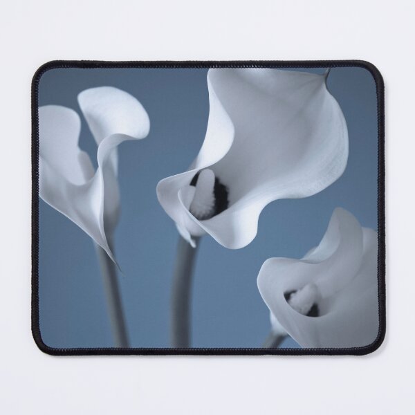 Item preview, Three Calla Lilies designed and sold by assaf.