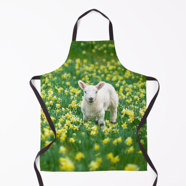Item preview, Lamb in Daffodil Field designed and sold by assaf.