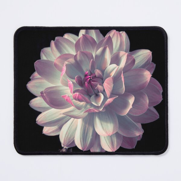 Item preview, Dahlia Flower designed and sold by assaf.