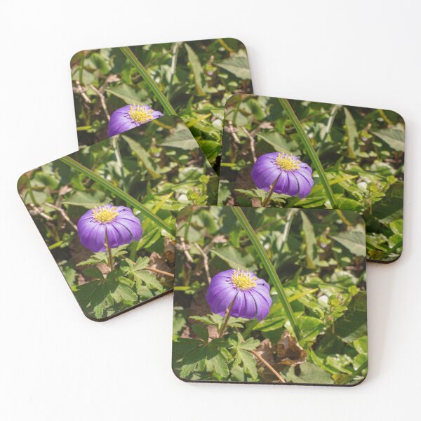 Item preview, purple anemone in nature in Germany (Anemone) designed and sold by TW-Fotos.
