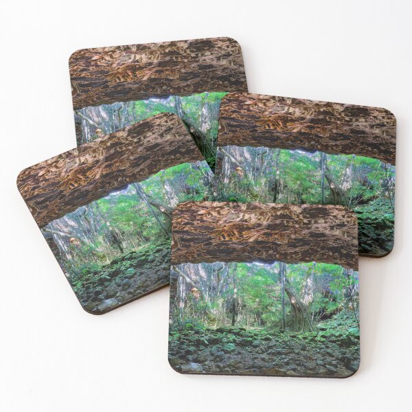Item preview, Undara Volcanic National Park QLD - Undara Arch Walkway designed and sold by Adam Gormley.