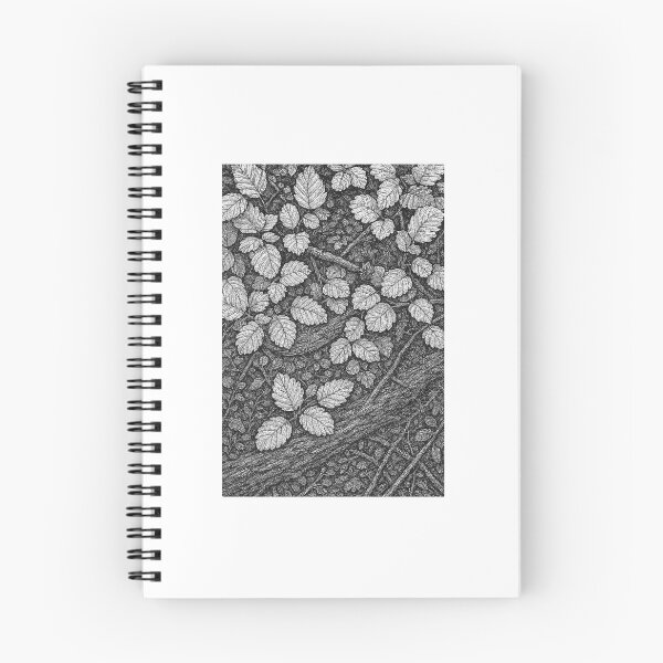 Item preview, Turning of the Fagus - Ink designed and sold by Echoes To Earth.