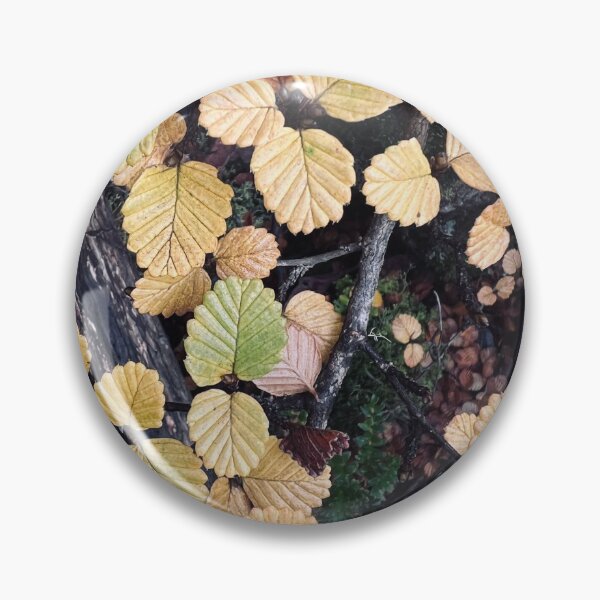 Item preview, Turning of the Fagus - Photograph designed and sold by Echoes To Earth.