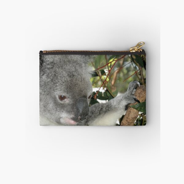 Item preview, Young Koala, Australia Zoo, Queensland, Australia. designed and sold by kaysharp.