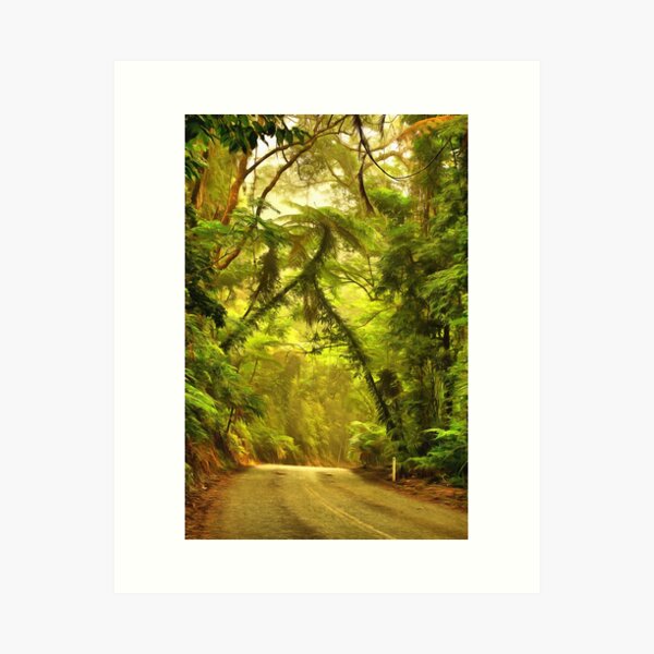 Item preview, wilderness designed and sold by OzCamera.