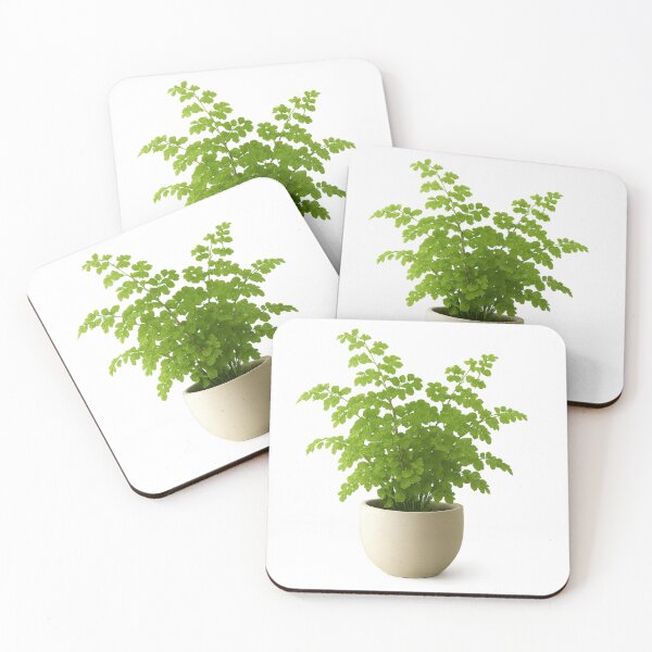 Item preview, Maidenhair Fern designed and sold by RedFray.