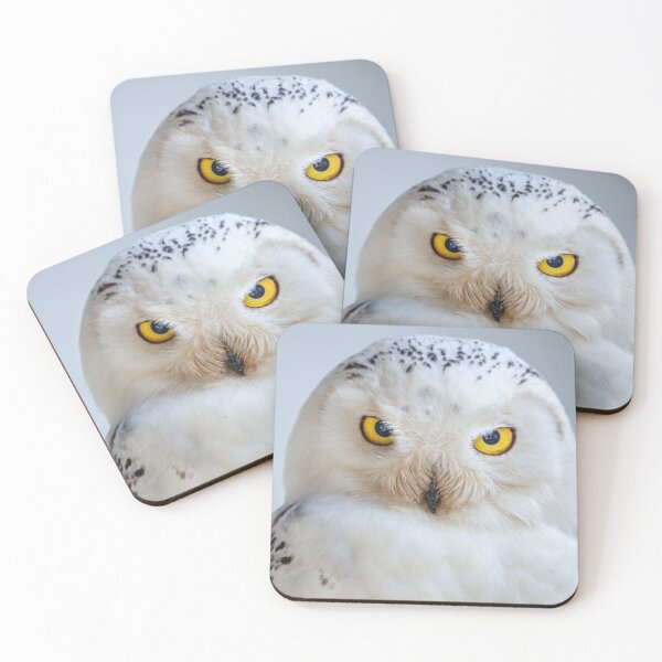 Item preview, Female Snowy Owl designed and sold by Dalyndigital Photography.