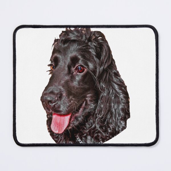 Item preview, Black Cocker Spaniel designed and sold by Dalyndigital Photography.