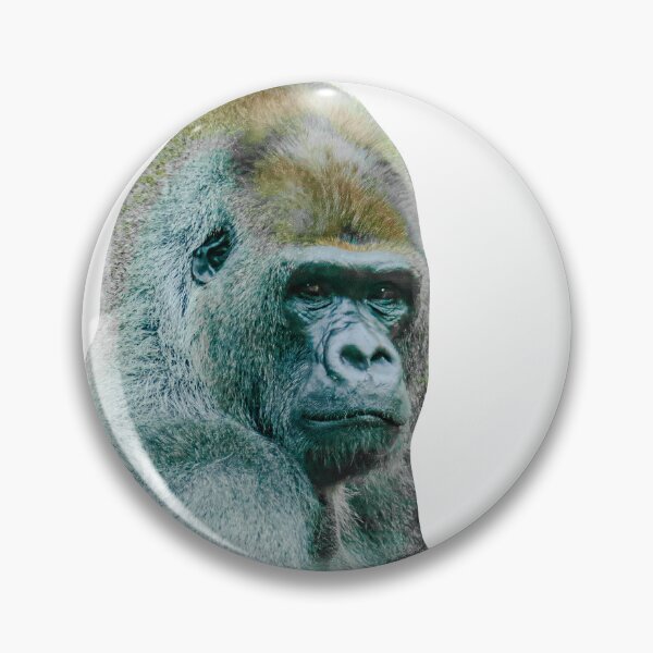 Item preview, Who you looking at Gorilla designed and sold by Dalyndigital Photography.