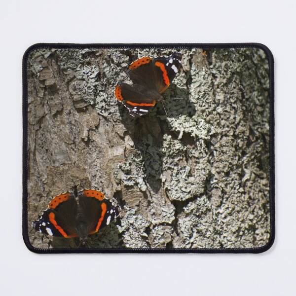 Item preview, Butterflies designed and sold by carolmaia.