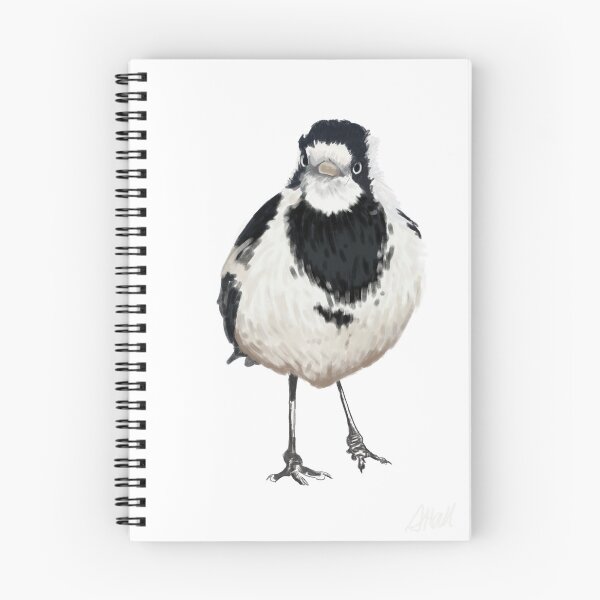 Item preview, Piping shrike  designed and sold by Amber-paige-art.