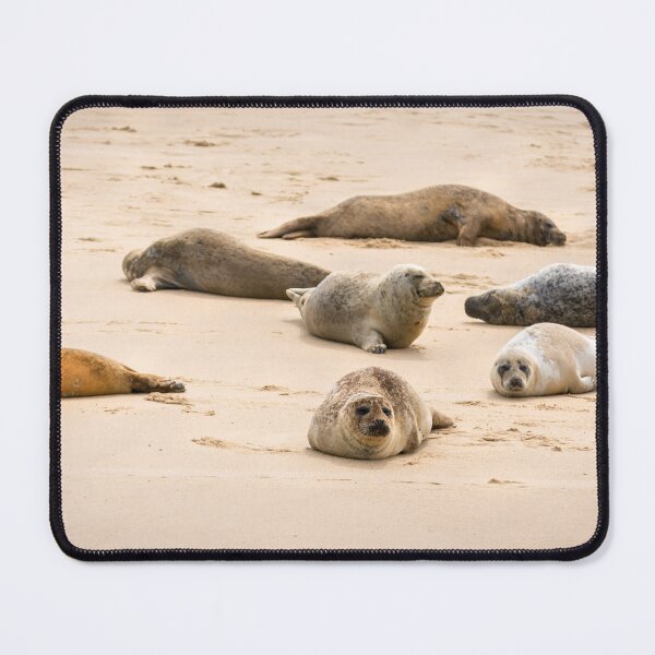 Item preview, Seals designed and sold by JEZ22.