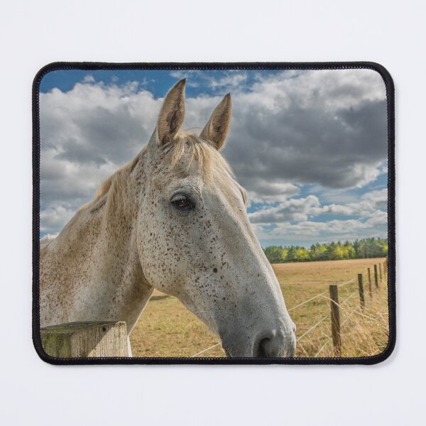 Item preview, peckled Serenity: Horse in a Sunlit Field designed and sold by David Patterson.