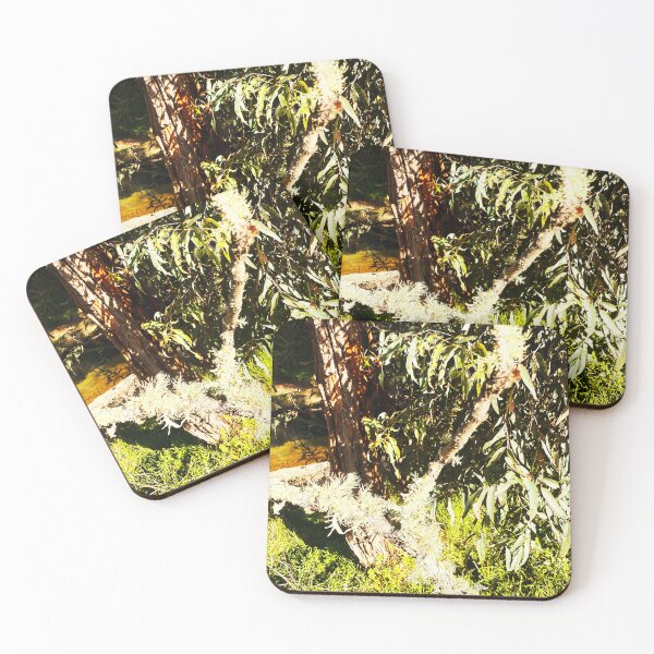 Item preview, Tree and Moss designed and sold by KazM.