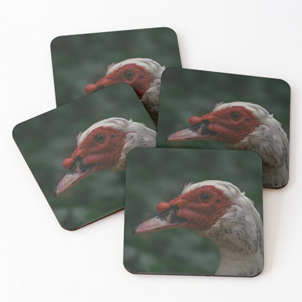 Item preview, Muscovy Duck Portrait – Unique Wildlife Photography designed and sold by plantbasedfoto.