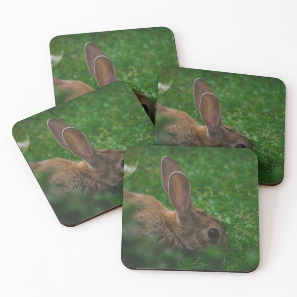 Item preview, Rabbit in the Grass – Nature Wildlife Photography designed and sold by plantbasedfoto.