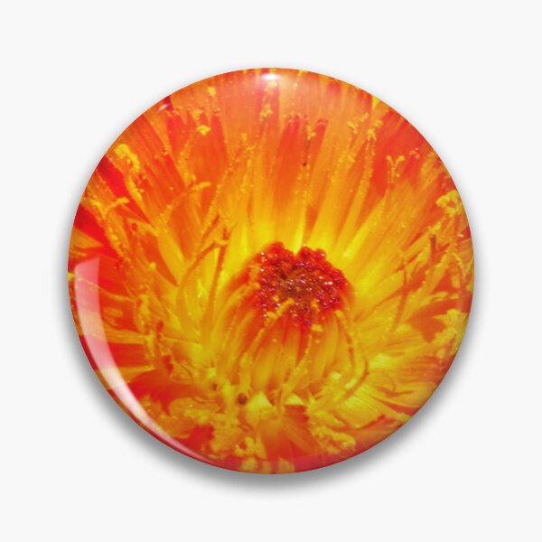 Artikelvorschau, Vivid burst of colour entworfen und verkauft von purelightimages.