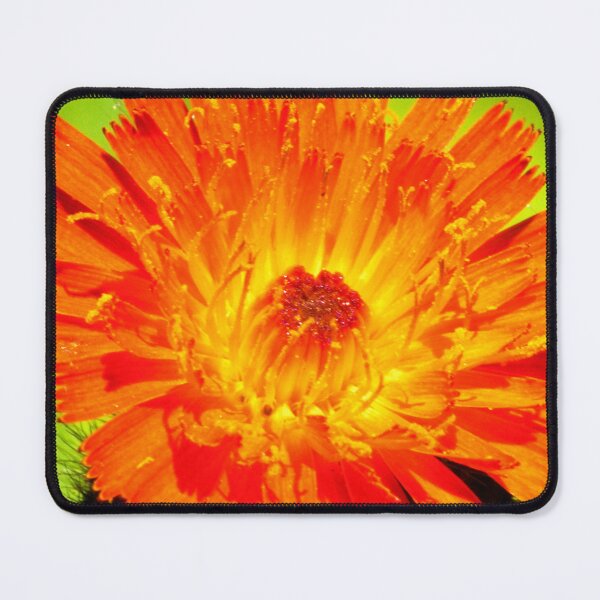Artikelvorschau, Vivid burst of colour entworfen und verkauft von purelightimages.