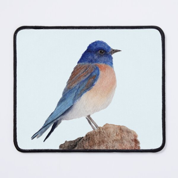 Item preview, Eastern Bluebird designed and sold by @Juli.Artventures.