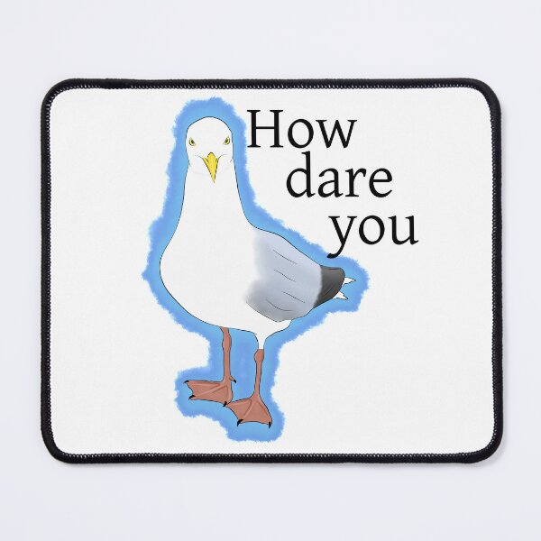 Item preview, Bemused seagull asking 'how dare you' designed and sold by Artistic Olive.