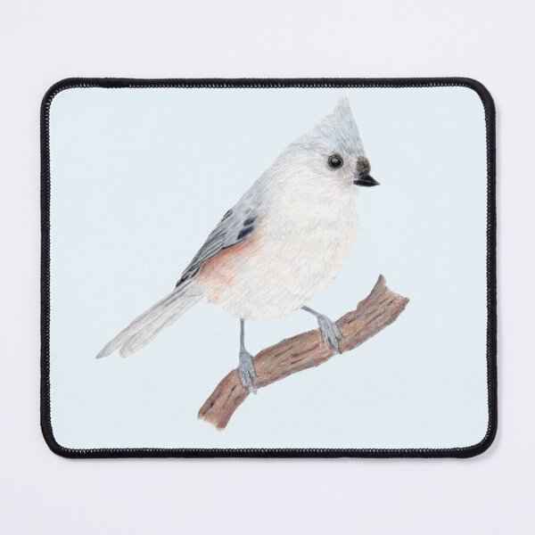 Item preview, Tufted Titmouse – Colored Pencil Drawing of a Bird on a Branch | Realistic Nature-Inspired Art designed and sold by @Juli.Artventures.