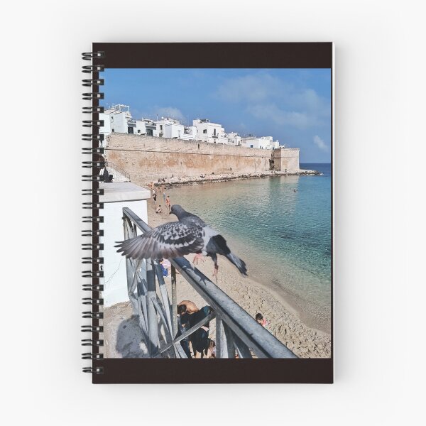 Item preview, Pigeon's-Eye View of Monopoli, Italy designed and sold by EpicVistas.