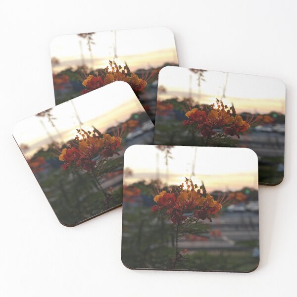 Item preview, Pride of Barbados at Sunset designed and sold by ThoseFlowerPics.