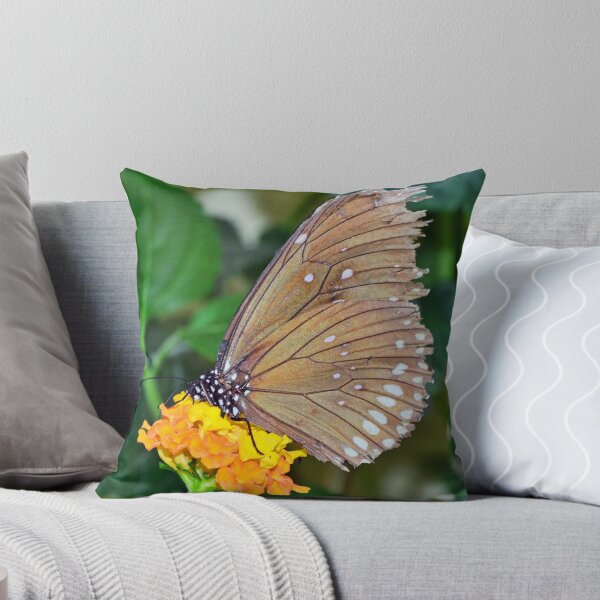 Item preview, Oriental Great Eggfly designed and sold by Frank  Irwin.