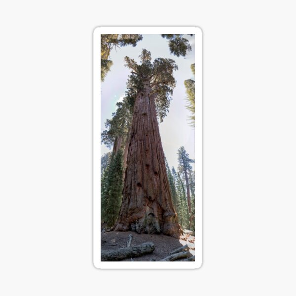 General Sherman Sticker